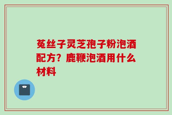 菟丝子灵芝孢子粉泡酒配方？鹿鞭泡酒用什么材料