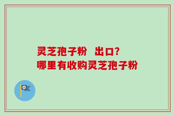 灵芝孢子粉  出口？哪里有收购灵芝孢子粉