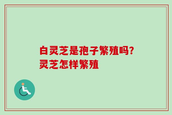白灵芝是孢子繁殖吗？灵芝怎样繁殖