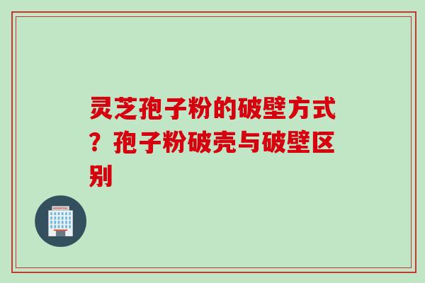 灵芝孢子粉的破壁方式？孢子粉破壳与破壁区别