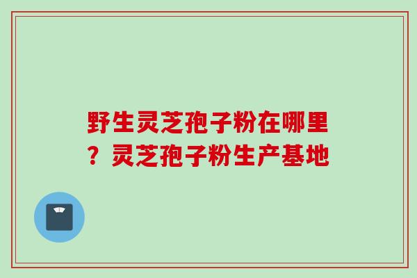 野生灵芝孢子粉在哪里？灵芝孢子粉生产基地