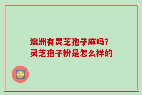 澳洲有灵芝孢子麻吗？灵芝孢子粉是怎么样的