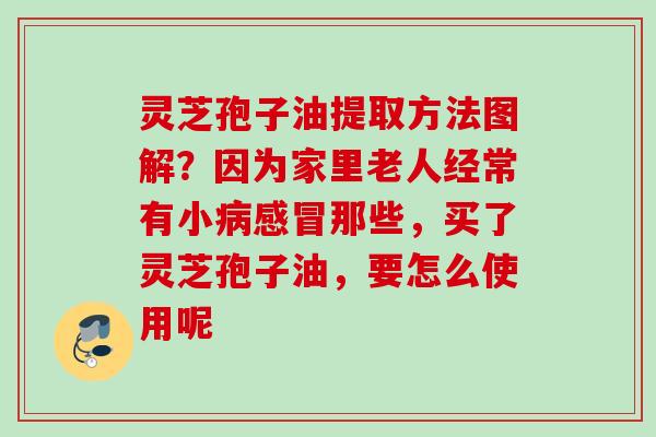 灵芝孢子油提取方法图解？因为家里老人经常有小病感冒那些，买了灵芝孢子油，要怎么使用呢