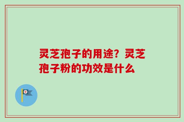 灵芝孢子的用途？灵芝孢子粉的功效是什么