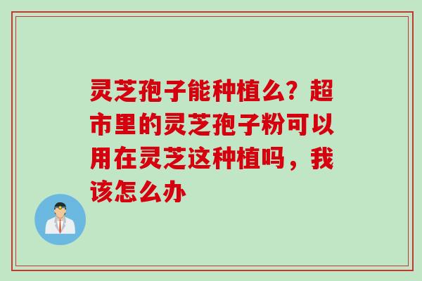 灵芝孢子能种植么？超市里的灵芝孢子粉可以用在灵芝这种植吗，我该怎么办