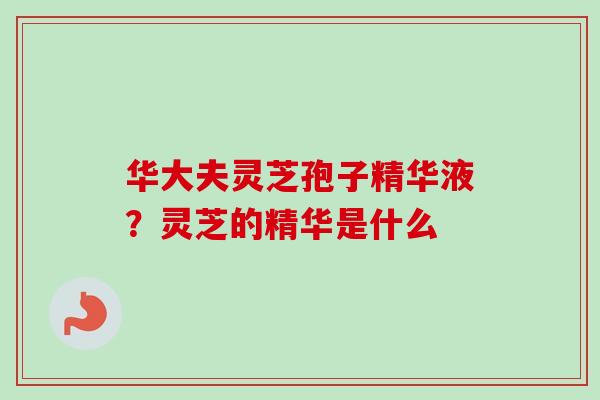 华大夫灵芝孢子精华液？灵芝的精华是什么