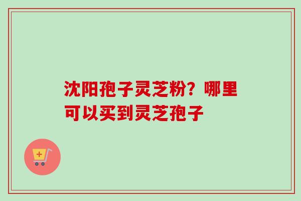 沈阳孢子灵芝粉？哪里可以买到灵芝孢子