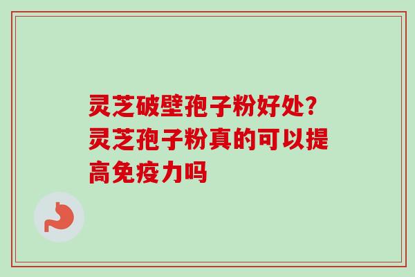 灵芝破壁孢子粉好处？灵芝孢子粉真的可以提高免疫力吗