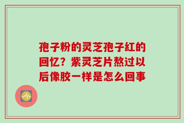 孢子粉的灵芝孢子红的回忆？紫灵芝片熬过以后像胶一样是怎么回事