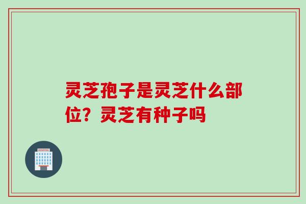 灵芝孢子是灵芝什么部位？灵芝有种子吗