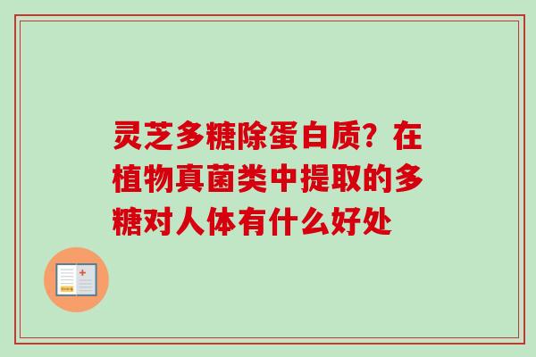 灵芝多糖除蛋白质？在植物真菌类中提取的多糖对人体有什么好处