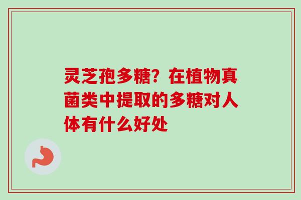 灵芝孢多糖？在植物真菌类中提取的多糖对人体有什么好处