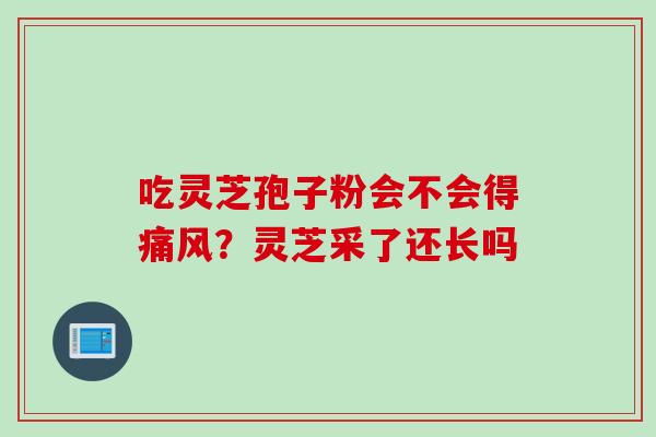 吃灵芝孢子粉会不会得痛风？灵芝采了还长吗