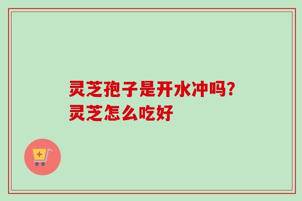 灵芝孢子是开水冲吗？灵芝怎么吃好
