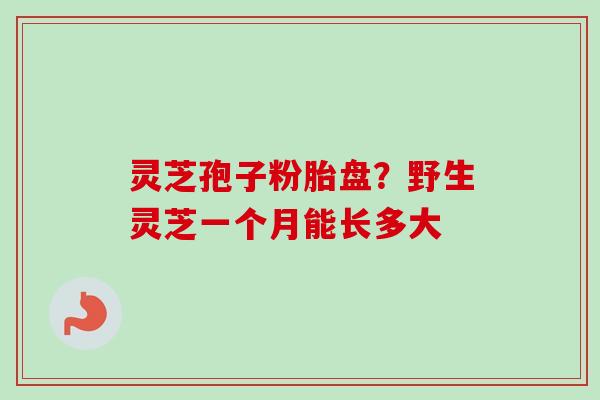 灵芝孢子粉胎盘？野生灵芝一个月能长多大