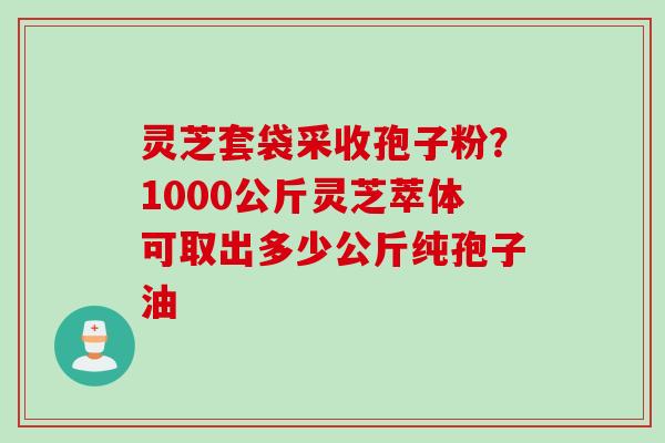 灵芝套袋采收孢子粉？1000公斤灵芝萃体可取出多少公斤纯孢子油