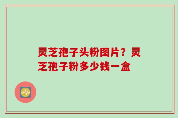 灵芝孢子头粉图片？灵芝孢子粉多少钱一盒