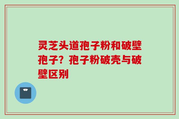 灵芝头道孢子粉和破壁孢子？孢子粉破壳与破壁区别