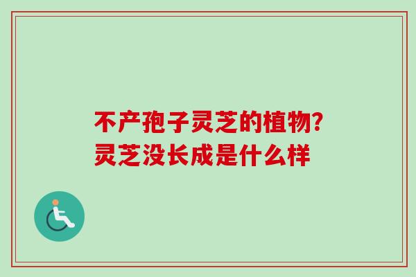 不产孢子灵芝的植物？灵芝没长成是什么样