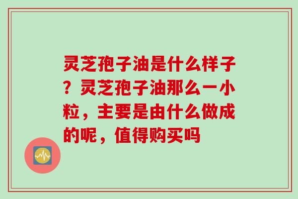 灵芝孢子油是什么样子？灵芝孢子油那么一小粒，主要是由什么做成的呢，值得购买吗