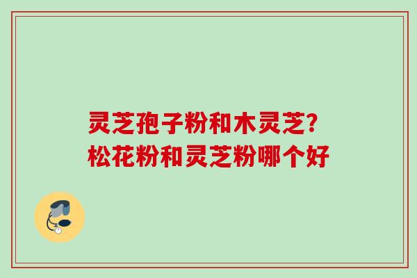 灵芝孢子粉和木灵芝？松花粉和灵芝粉哪个好