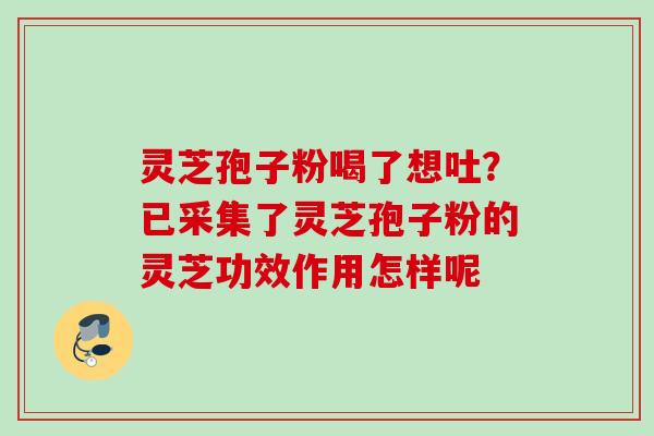 灵芝孢子粉喝了想吐？已采集了灵芝孢子粉的灵芝功效作用怎样呢