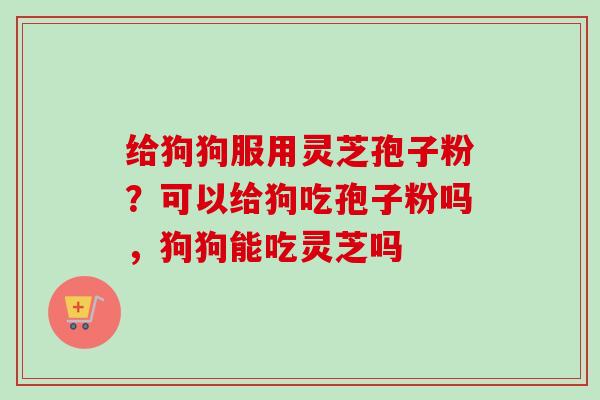 给狗狗服用灵芝孢子粉？可以给狗吃孢子粉吗，狗狗能吃灵芝吗
