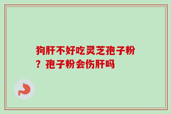 狗肝不好吃灵芝孢子粉？孢子粉会伤肝吗