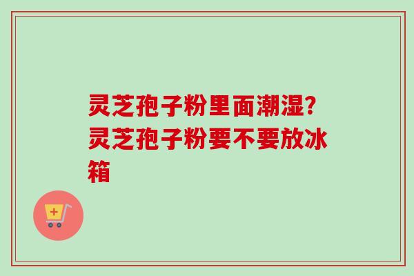 灵芝孢子粉里面潮湿？灵芝孢子粉要不要放冰箱