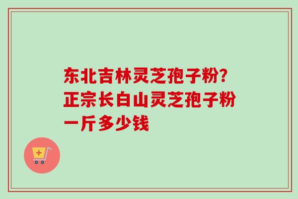 东北吉林灵芝孢子粉？正宗长白山灵芝孢子粉一斤多少钱