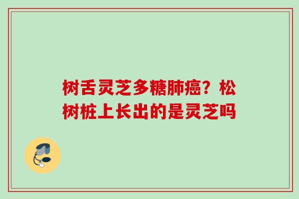 树舌灵芝多糖肺癌？松树桩上长出的是灵芝吗
