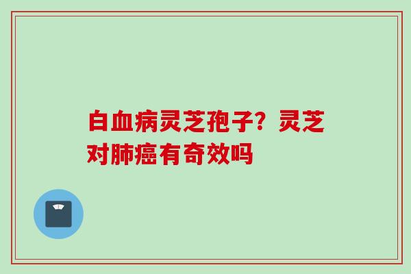 白灵芝孢子?灵芝对有奇效吗 白灵芝孢子?灵芝对有奇效吗
