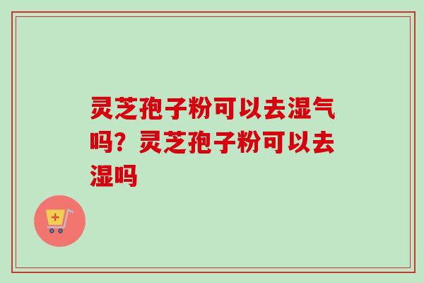 灵芝孢子粉可以去湿气吗？灵芝孢子粉可以去湿吗