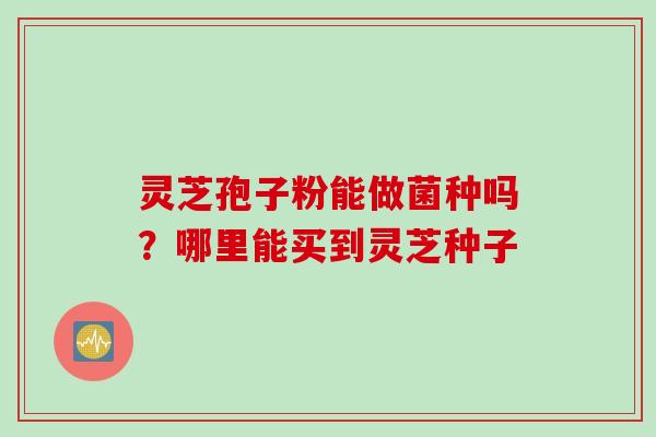 灵芝孢子粉能做菌种吗？哪里能买到灵芝种子