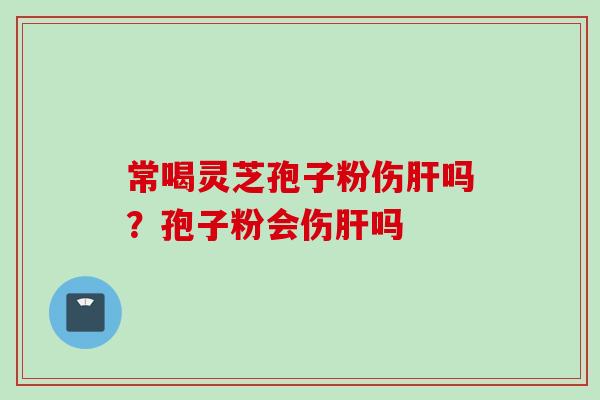 常喝灵芝孢子粉伤肝吗？孢子粉会伤肝吗