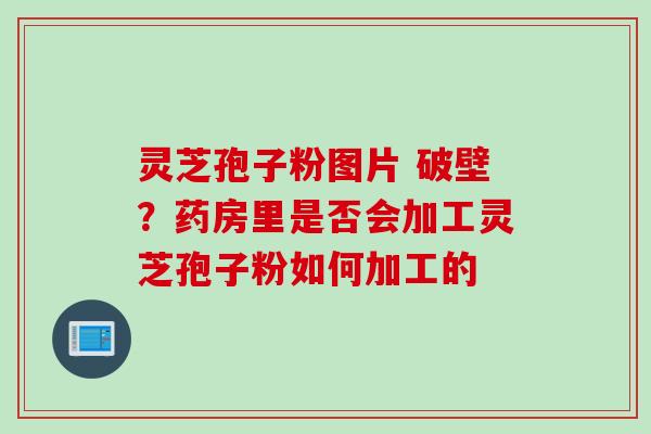 灵芝孢子粉图片 破壁？药房里是否会加工灵芝孢子粉如何加工的