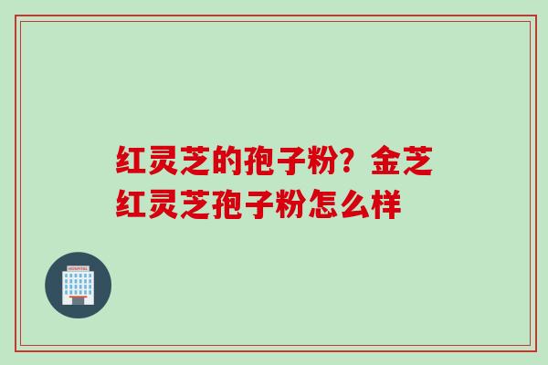 红灵芝的孢子粉？金芝红灵芝孢子粉怎么样