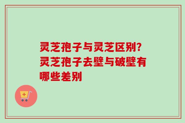 灵芝孢子与灵芝区别？灵芝孢子去壁与破壁有哪些差别
