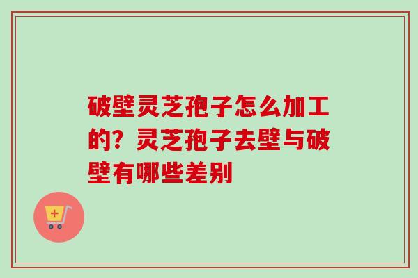 破壁灵芝孢子怎么加工的？灵芝孢子去壁与破壁有哪些差别