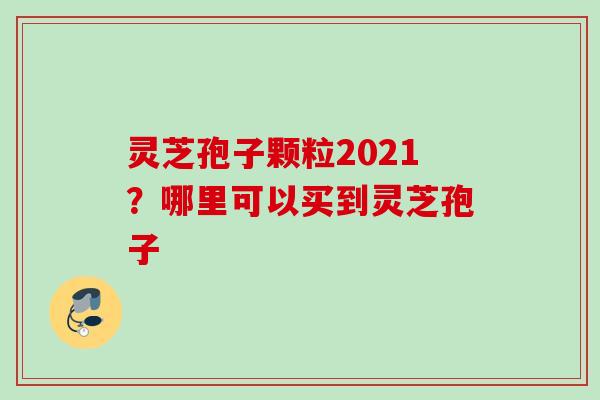 灵芝孢子颗粒2021？哪里可以买到灵芝孢子