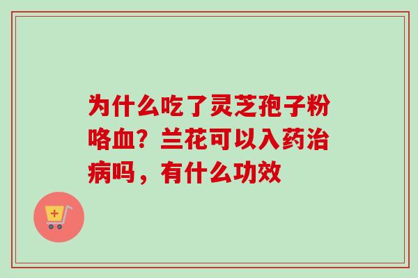 为什么吃了灵芝孢子粉咯血？兰花可以入药治病吗，有什么功效