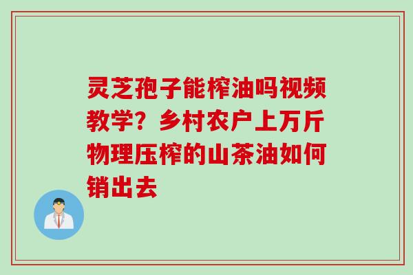 灵芝孢子能榨油吗视频教学？乡村农户上万斤物理压榨的山茶油如何销出去
