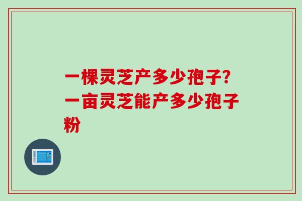 一棵灵芝产多少孢子？一亩灵芝能产多少孢子粉