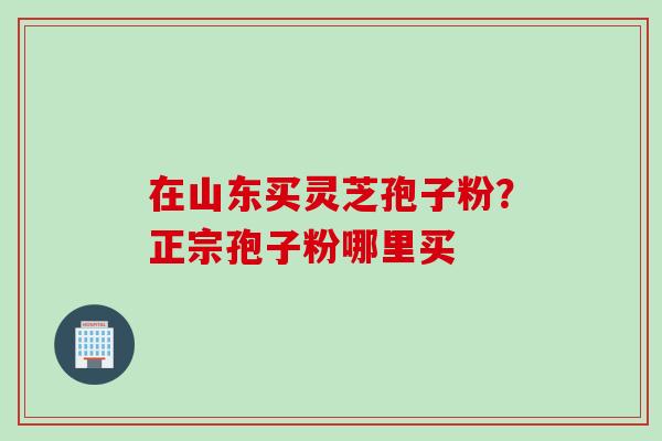 在山东买灵芝孢子粉？正宗孢子粉哪里买