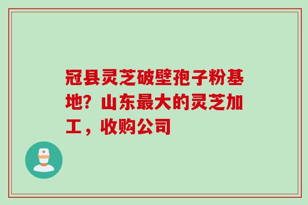 冠县灵芝破壁孢子粉基地？山东最大的灵芝加工，收购公司
