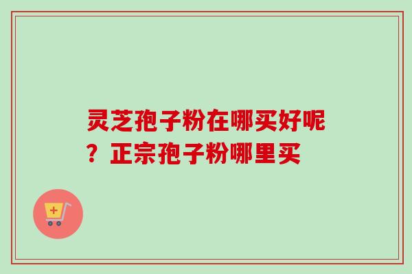 灵芝孢子粉在哪买好呢？正宗孢子粉哪里买
