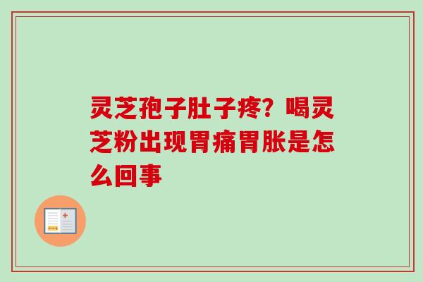 灵芝孢子肚子疼？喝灵芝粉出现胃痛胃胀是怎么回事