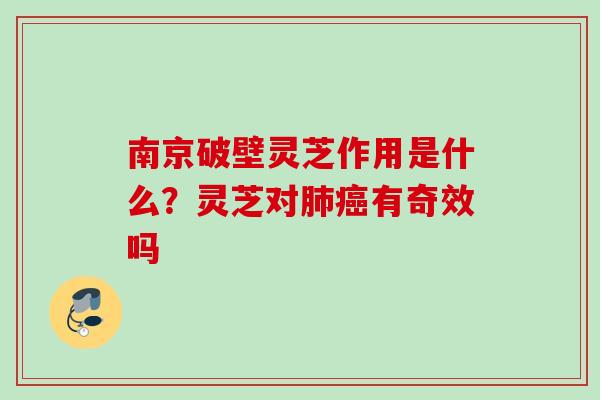 南京破壁灵芝作用是什么？灵芝对肺癌有奇效吗