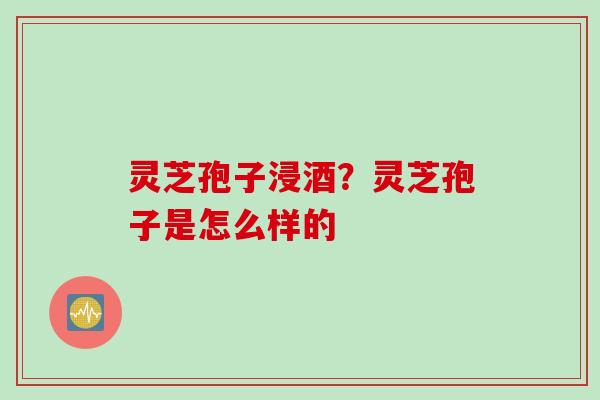 灵芝孢子浸酒？灵芝孢子是怎么样的
