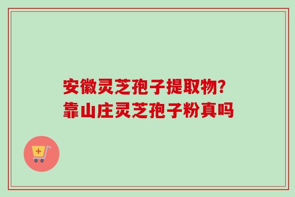 安徽灵芝孢子提取物？靠山庄灵芝孢子粉真吗